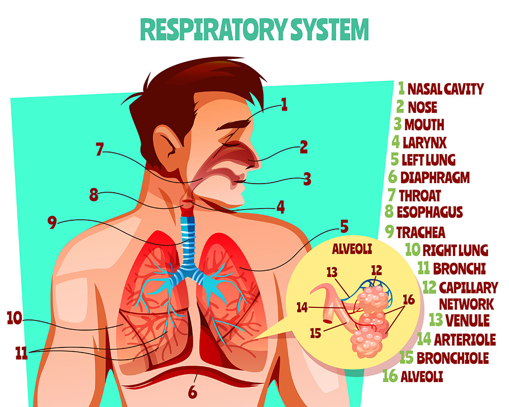 Breathing techniques and improved performance - Metrifit Ready to Perform